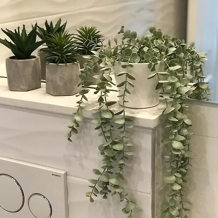 Summer Fantasy マカルスカ