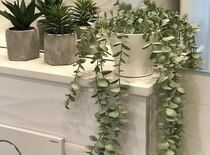 Summer Fantasy Μακάρσκα